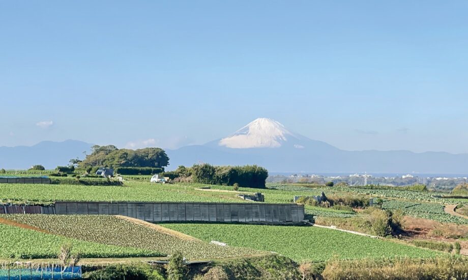 歩いて知る三浦の田園～ウォーキングツアー～2026年1月15日