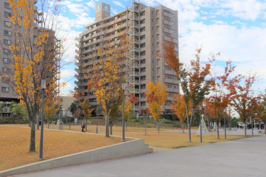 【2025年12月開催】駅近で楽しむ！茅ヶ崎市役所前広場の12月イベント＆イルミネーション情報