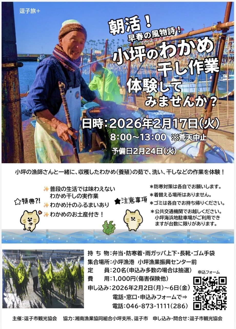 逗子観光協会主催・早春の風物詩「ワカメ干し」の参加者募集！指導をうけながら体験を！！