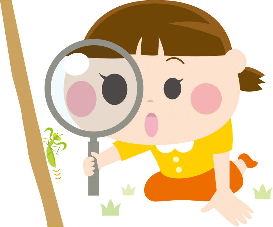 自然環境講演会・昆虫学者小松貴さんによる「三浦で見つけた不思議な虫」@横須賀市