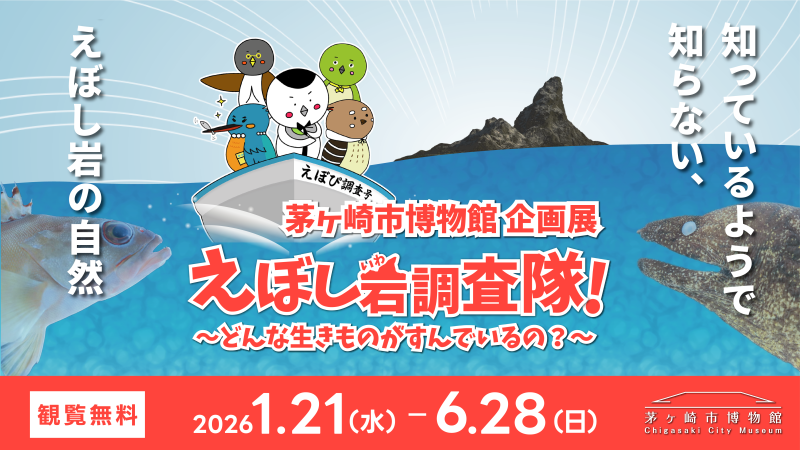 「えぼし岩調査隊！〜どんな生きものがすんでいるの？〜」が茅ヶ崎市博物館で開催中