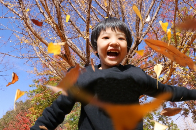 県立相模原公園で１月25日（日）に、虫の観察・ゲームや工作を通じて冬の自然を体験するイベントが開催される