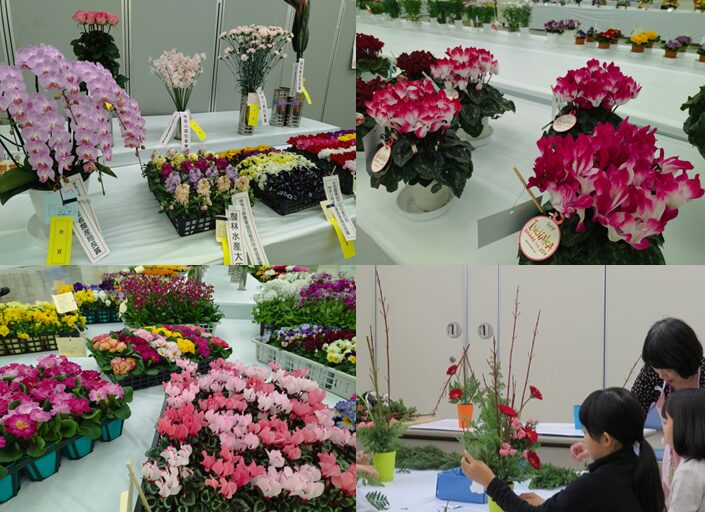 横浜【2月14～15日】「花とみどりのフェスティバル」展示即売や体験＠横浜産貿ホール【入場無料】