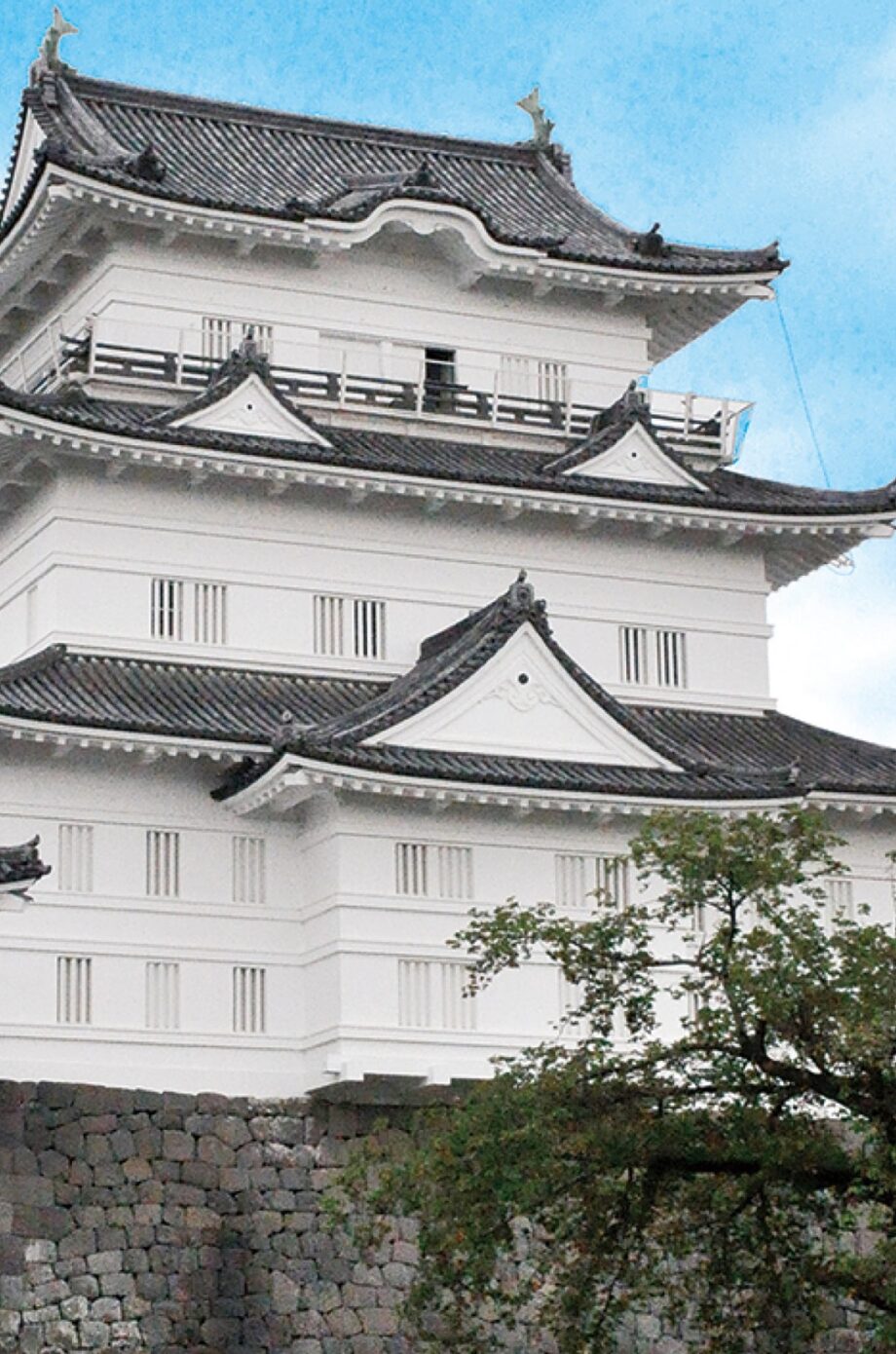 〈１月１８日(日)＠おだわらUMECO〉小田原北条の会主催の歴史講座「北条早雲の生涯と今川氏親」