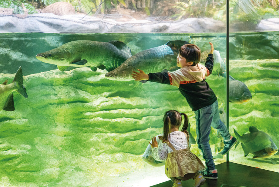 カワスイ 川崎水族館【お年玉プレゼント2026】