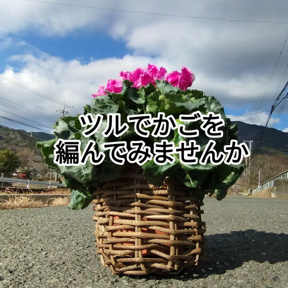 ツルでかご編みをしてみませんか