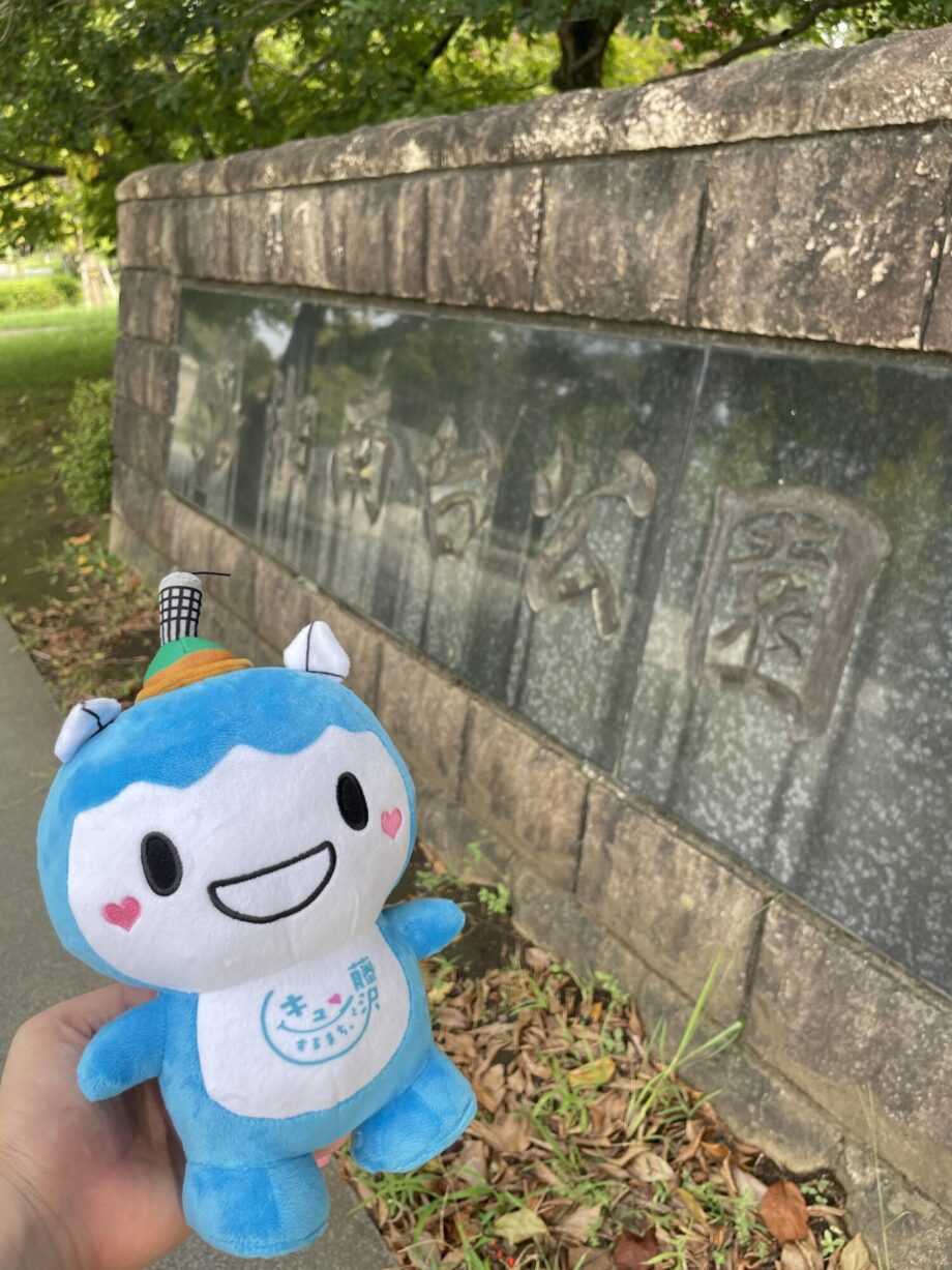 藤沢でゲットだぜ！『Pokemon GO』大人から子どもまで楽しめる『湘南台公園』ぐるっと一周ルート