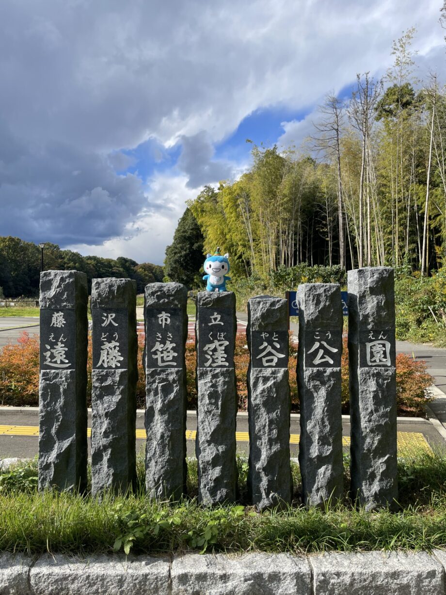 藤沢でゲットだぜ！『Pokemon GO』生物多様性を感じる「遠藤笹窪谷公園」ルート