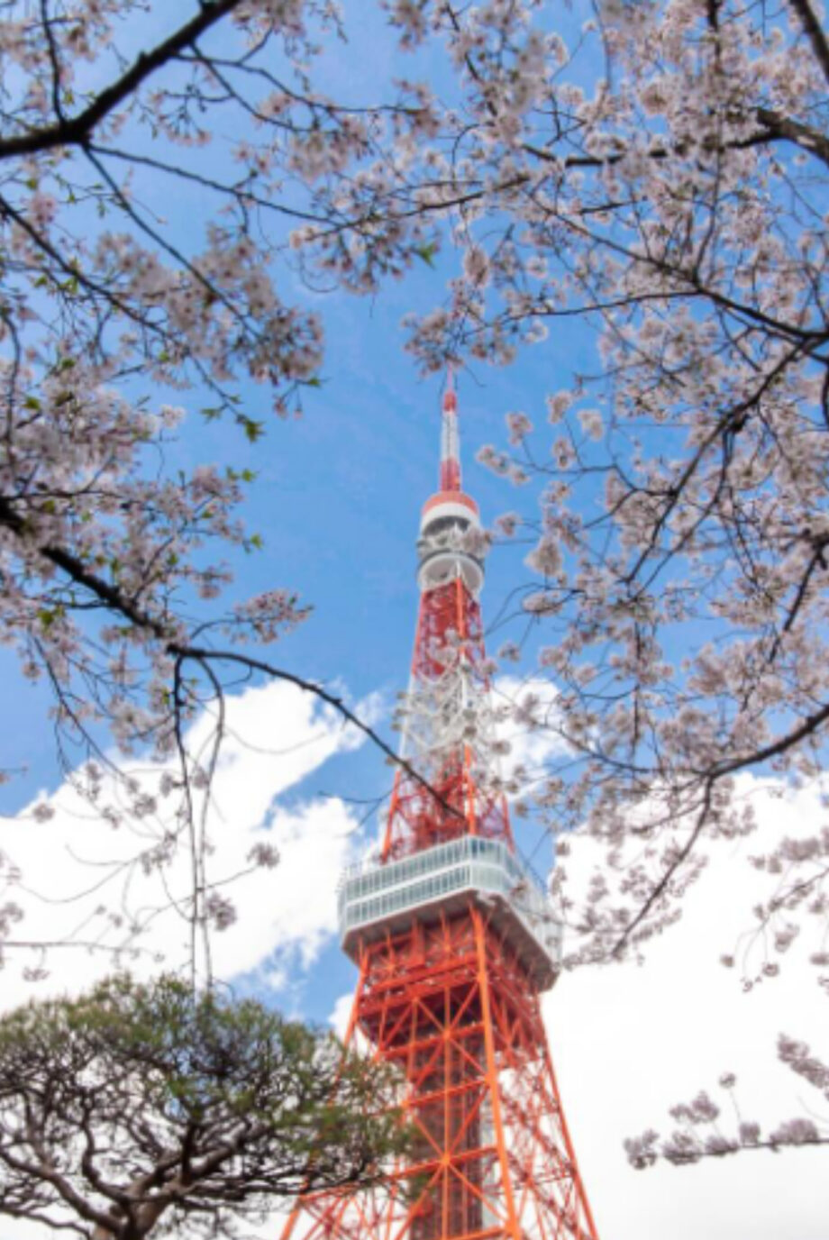 【4月9~12日】川崎市国際交流センターで「井上圭一郎さん写真展」都会の季節切取る@中原区