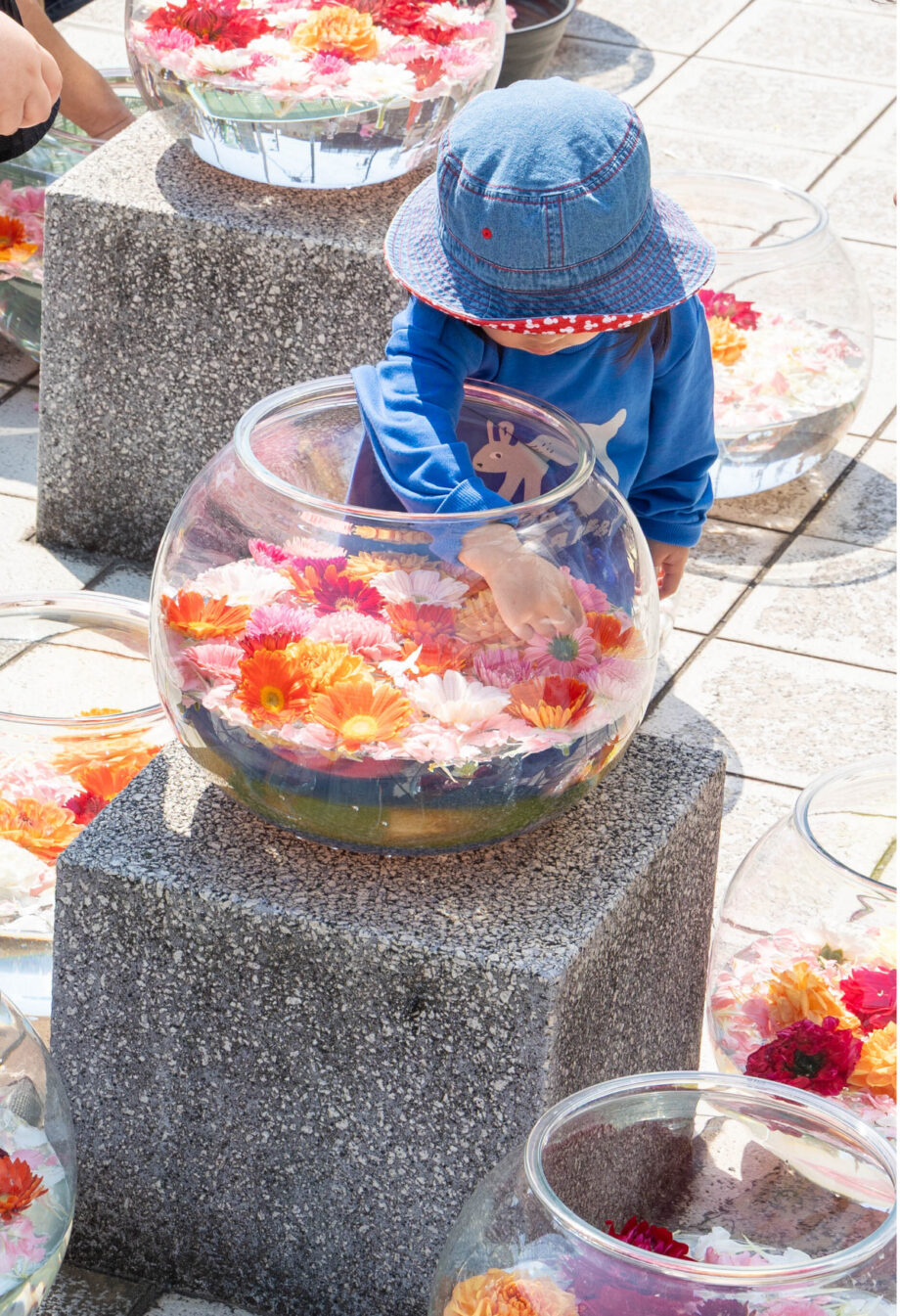 【３月15日】川崎市幸区・日吉合同庁舎で春の祭り「日吉市」と「さくらフェスタ日吉」