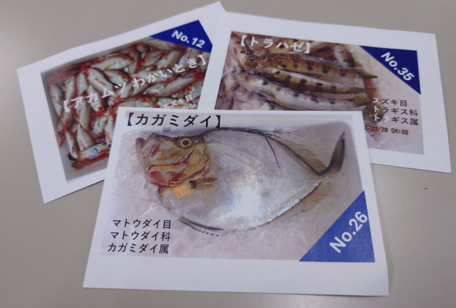 【３月21日】＜川崎市宮前区・北部市場＞カードゲームで遊びながら食の大切さを楽しく学ぶ