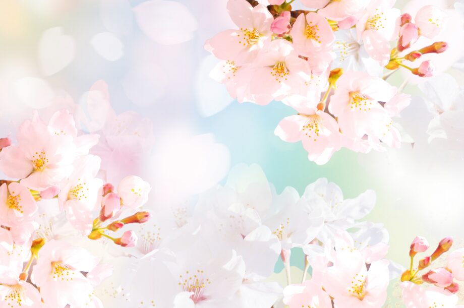 春休み特別企画「お花見バーベキューと桜の木でおはし作り」＠横浜市戸塚区東俣野町