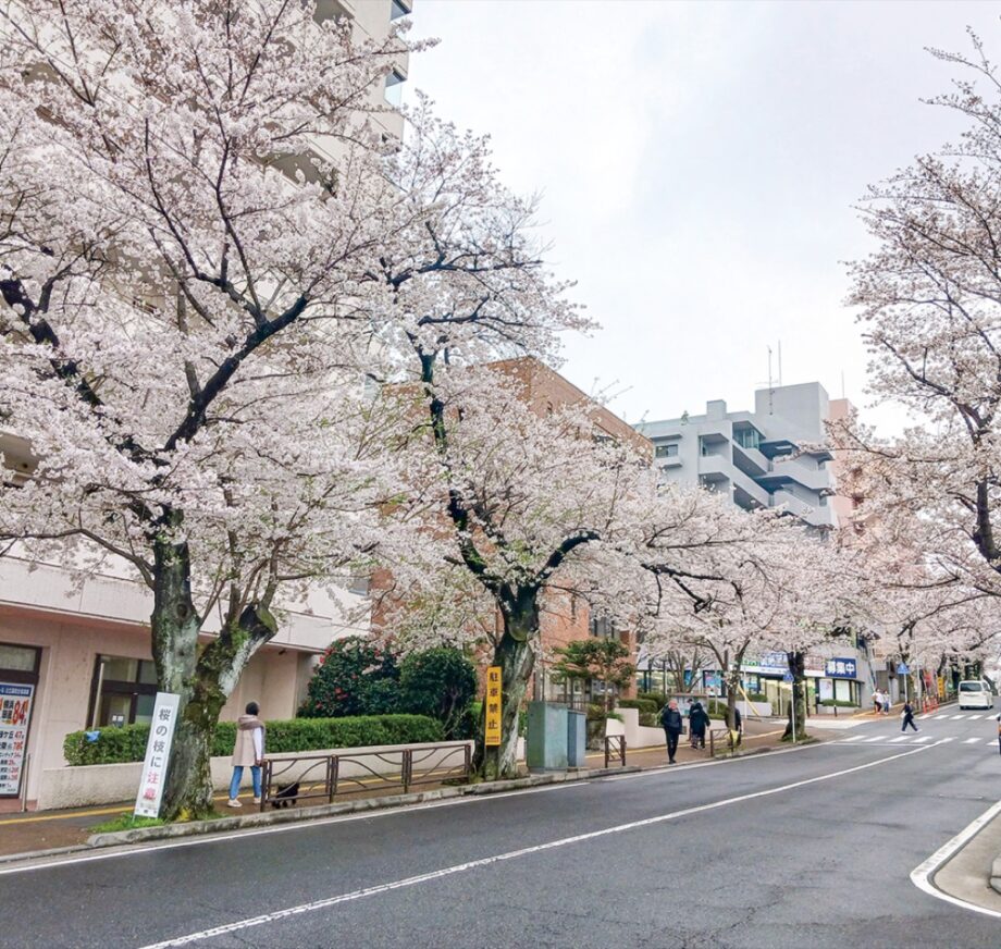 【3月29日】川崎宮前区・宮崎台駅周辺で「ふる里さくら祭り」ダンスやマルシェ、スタンプラリーなど