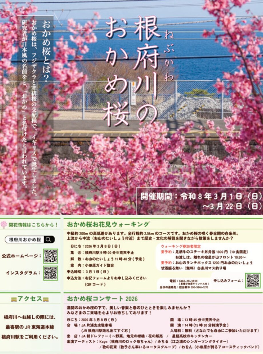 2026年3月1日(日)～22日(日)　小田原市根府川地区で春の来訪告げる「根府川のおかめ桜」