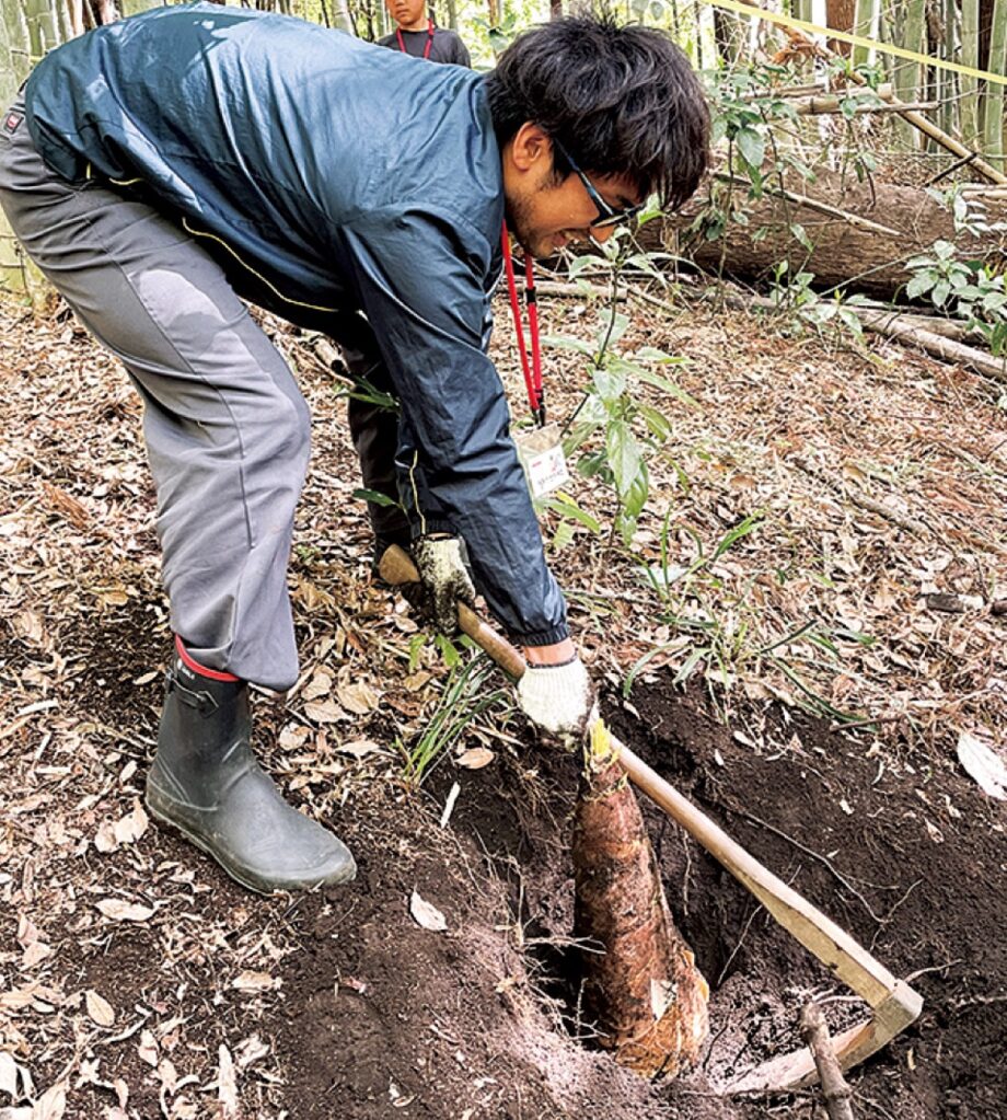 4月11日（土）　茅ヶ崎の里山でタケノコ掘り　うみかぜテラス主催