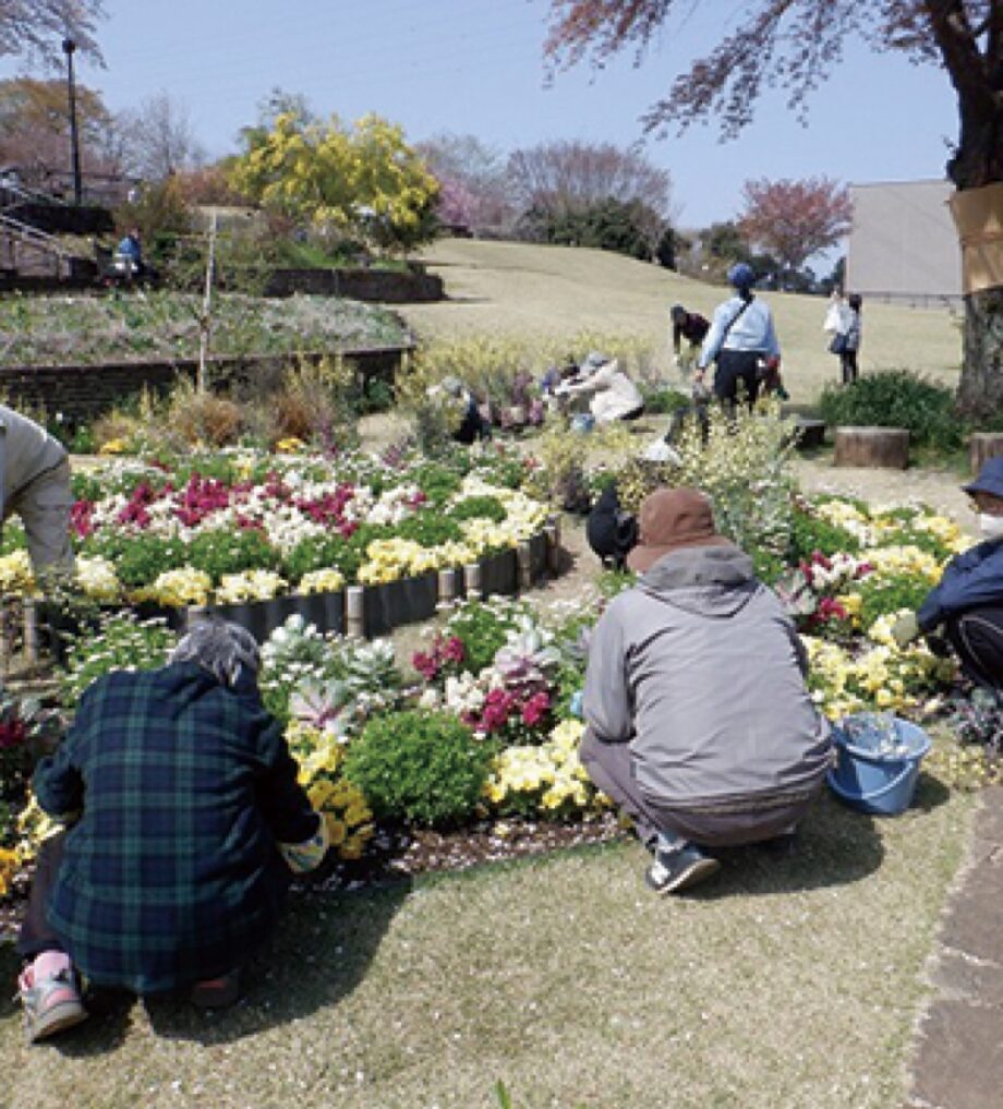 【参加者募集】津久井湖城山公園で活動するＳＫＴボランティアの新規参加者向け説明会開催