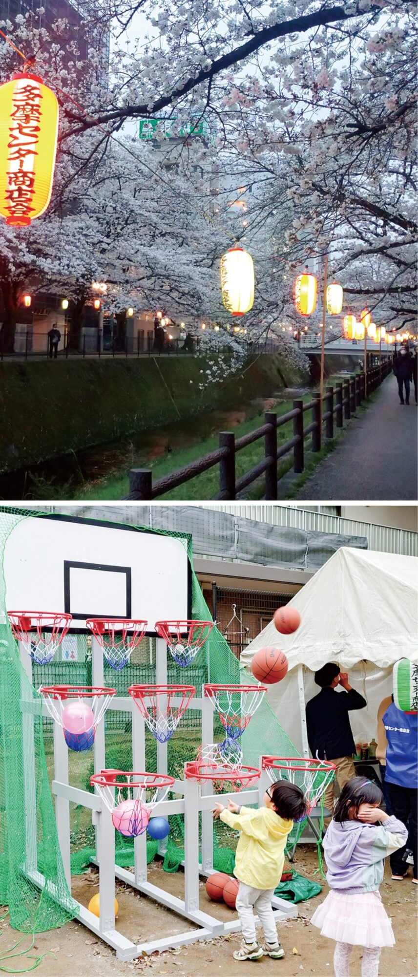 桜イルミネーションが4月1日から提灯点灯@多摩センター駅北側乞田川沿い桜並木