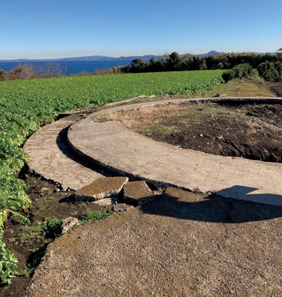 【参加者募集（3/20締切）】みうら半島さきっ歩ウォーク・伝説の地「雨崎」を歩く