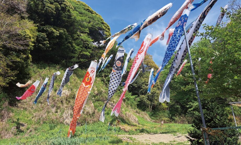 「逗子ホームせせらぎ」で空泳ぐ約300匹の鯉と水墨画ライブ　＠2026年5月2日にホーム駐車場