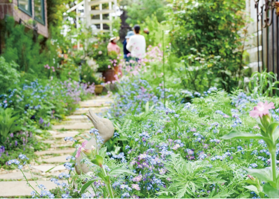 【大磯オープンガーデン2026】駅周辺お庭見学とお店めぐりや素敵なバラ庭めぐりも！＠大磯町