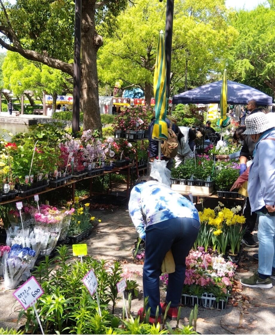 第50回平塚市緑化まつり＜2026年4月25日、26日総合公園＞体験コーナー・植木や花の販売・多世代で楽しもう