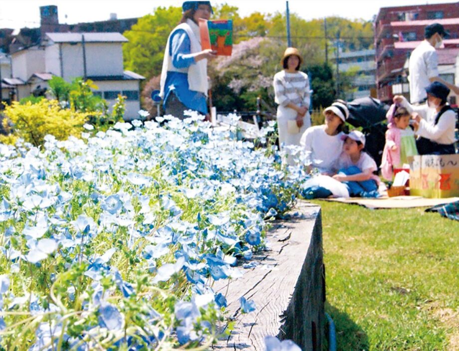 【横浜市都筑区】4月11日「ネモフィラ祭り」開催 獅子舞やモルック体験も