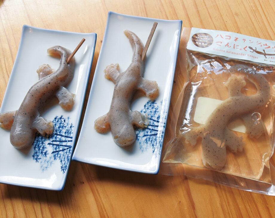 箱根町畑宿の新たな名物に！「ハコネサンショウウオ」を模したこんにゃくを開発