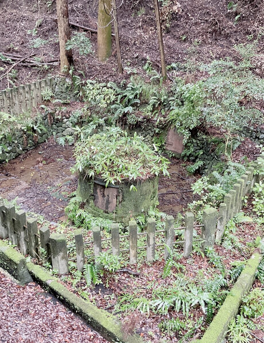 参加者募集【４月18日から全５回】２０２６年度の「秦野名水名人講座」