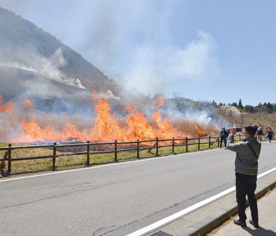 箱根町仙石原の「すすき草原」で恒例の山焼きを実施！雑木化防ぎ景観維持のため