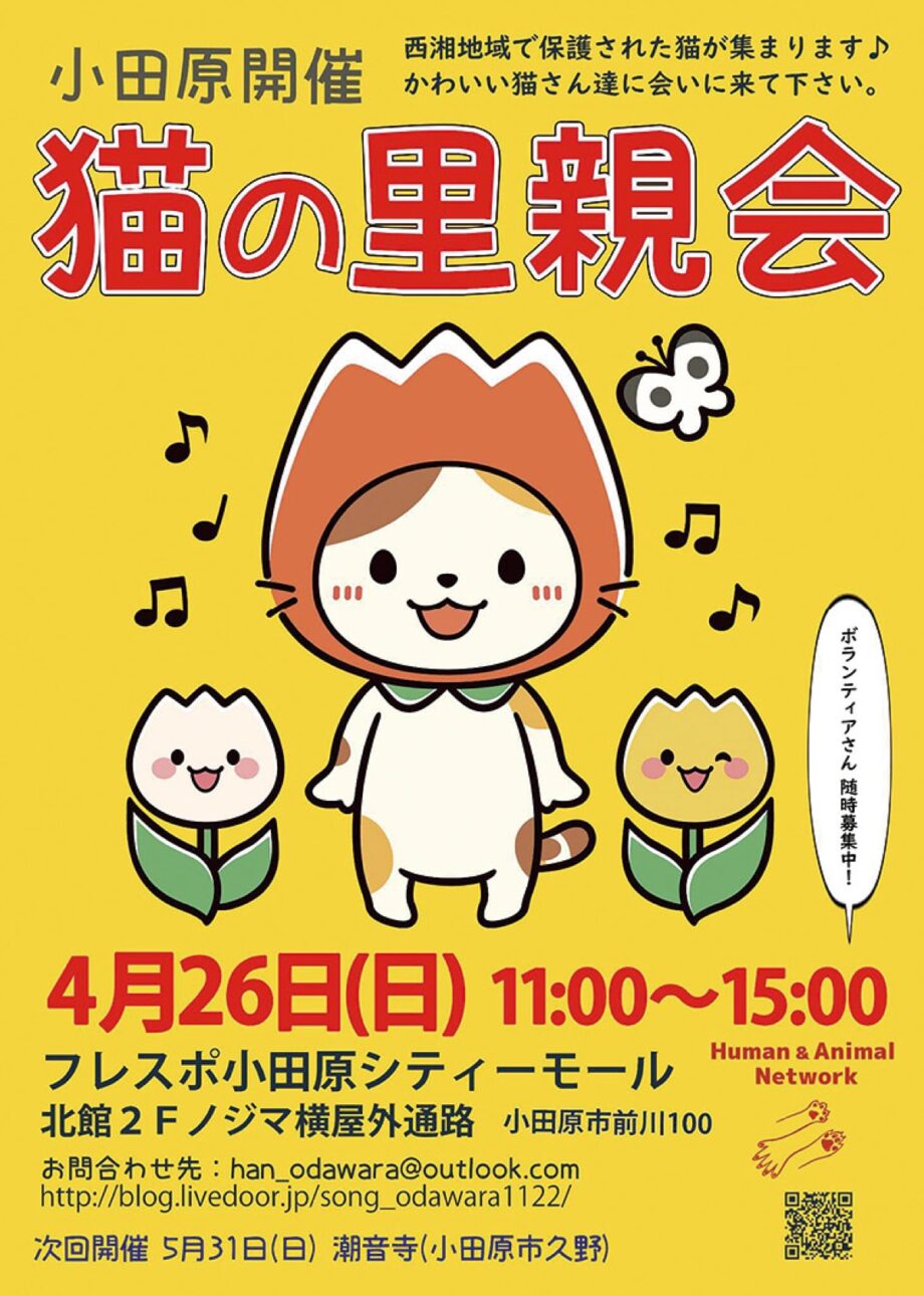 ４月２６日（日）小田原シティーモールで「猫の里親会」開催