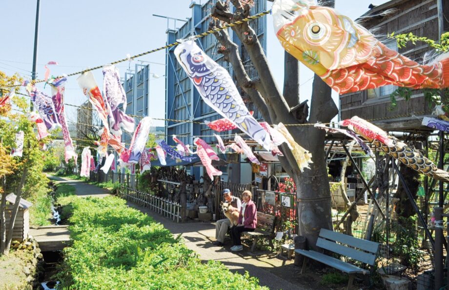 【横浜市青葉区】春風受けて鯉たなびく＠下谷本町・せせらぎふれあいの道