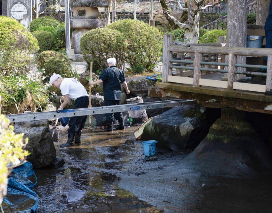 【南足柄市・大雄山最乗寺】境内の池を大掃除！きれいになって、訪れる人たちをお出迎え