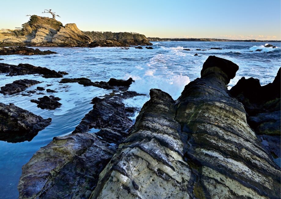 【横浜市港北区】「フォトクラブひよし写真展」作品33点並ぶ 5月12日～18日開催＠ミズキーホール