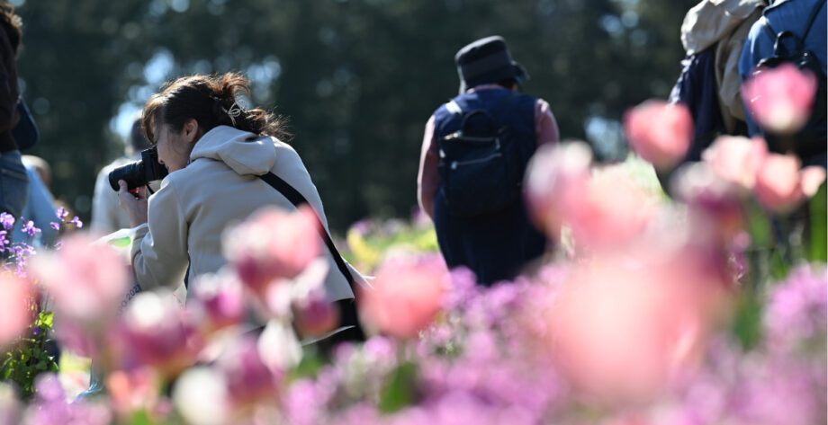 【入場無料】2026年「里山ガーデンフェスタ」横浜市内最大級の大花壇に約150品種20万本の花々が咲き誇る＠横浜市旭区