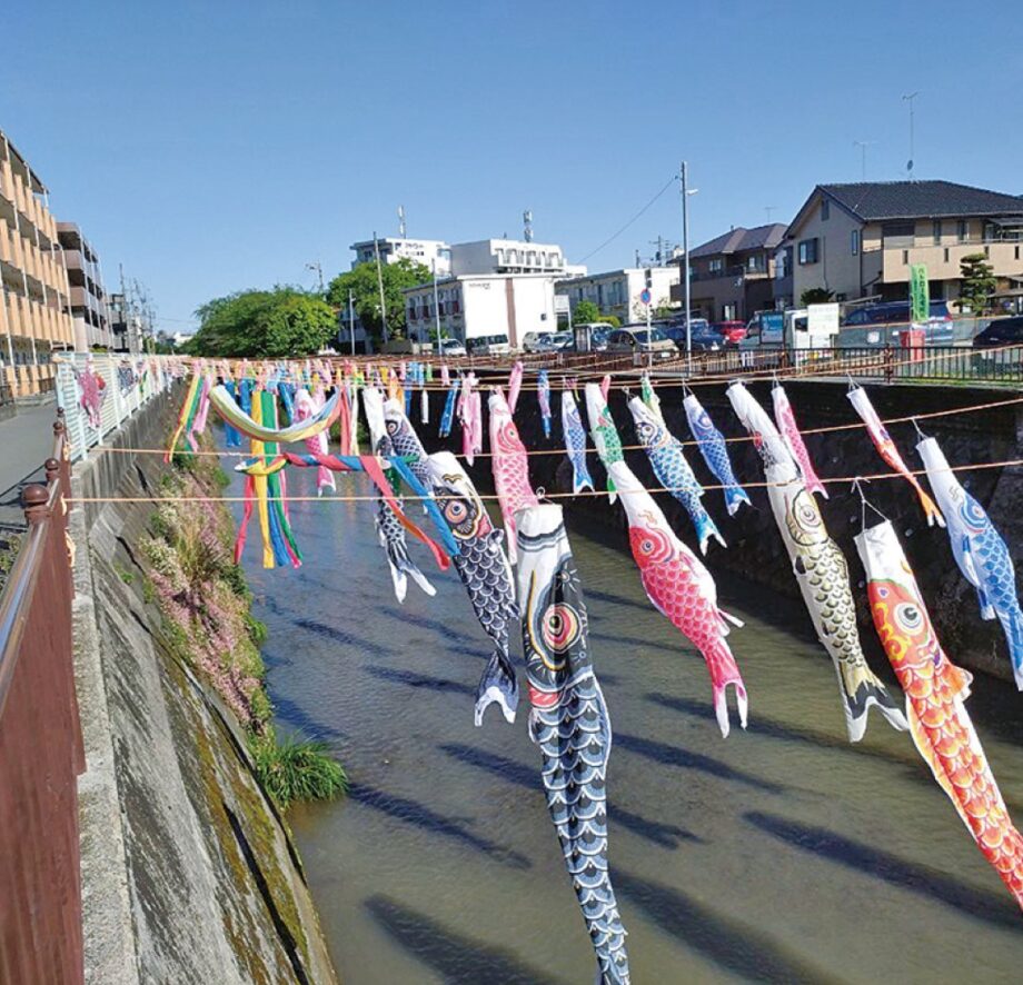 【4月29日～5月6日】川崎市多摩区登戸・二ヶ領に170匹のこいのぼり～地元住民らが寄付