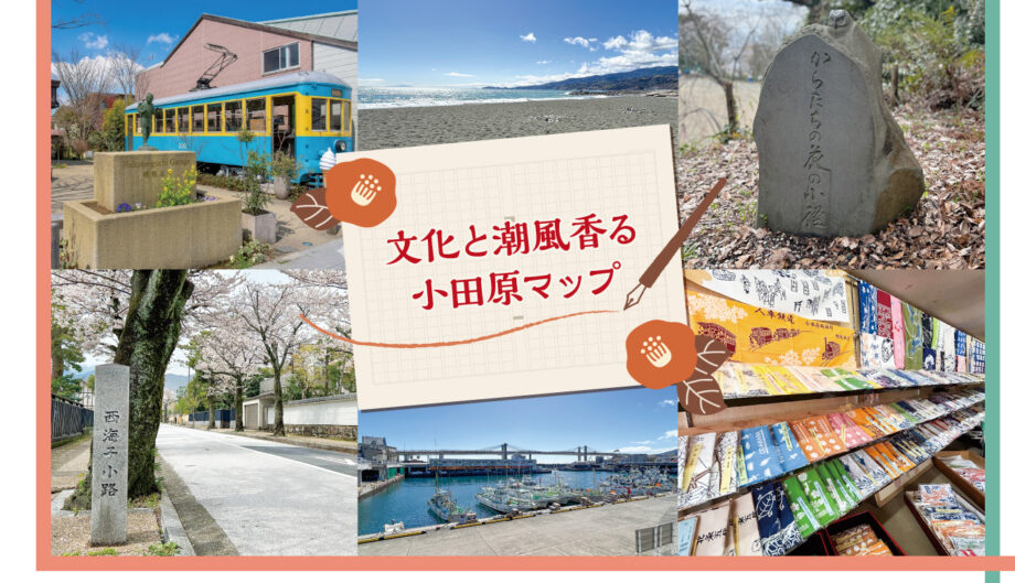 小田原まち歩き老舗・歴史・買い物を記者レポート