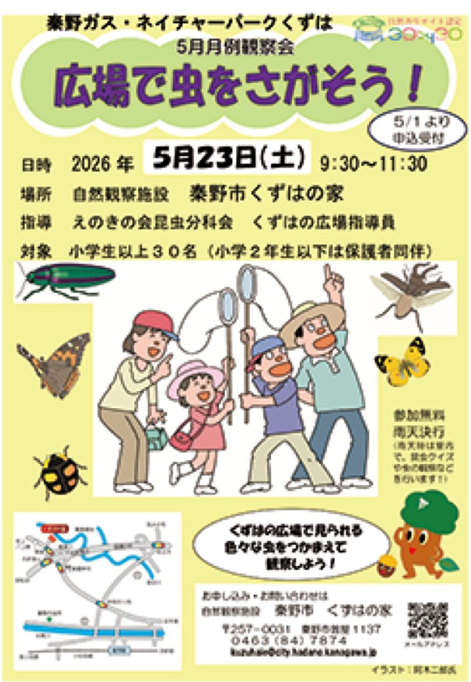 【参加者募集】月例観察会「広場で虫をさがそう」自然観察施設くずはの家（秦野市）