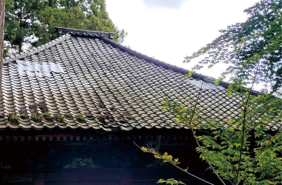 【秦野市】蓑毛大日堂本堂の雨漏りが悪化し、修復のためクラウドファンディングを急募