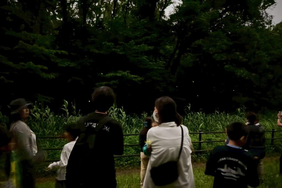 夜のホタル観察会 ～ホタルの光のひみつを見つけにいこう！