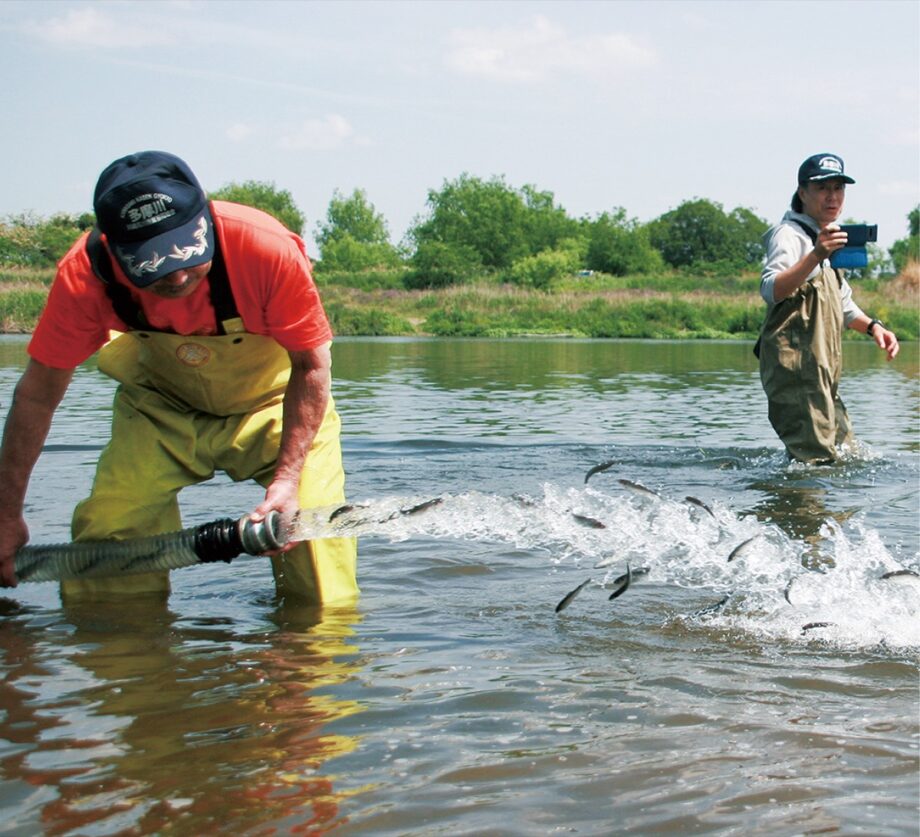 【6月1日アユ釣り解禁】おおきく育て！アユの稚魚１万２千匹を多摩川へ～川崎河川漁業組合が放流＠高津区