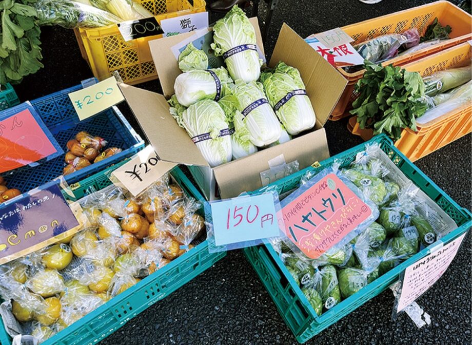 【７月４日】川崎市高津区で「エヌアセットの野菜市」地元の新鮮野菜が仕入れ値で！珍しい野菜も