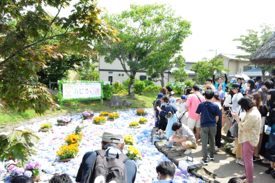 〈にしだが行くvol.2〉開成町あじさいまつりで「ならでは」が大事と気づく編