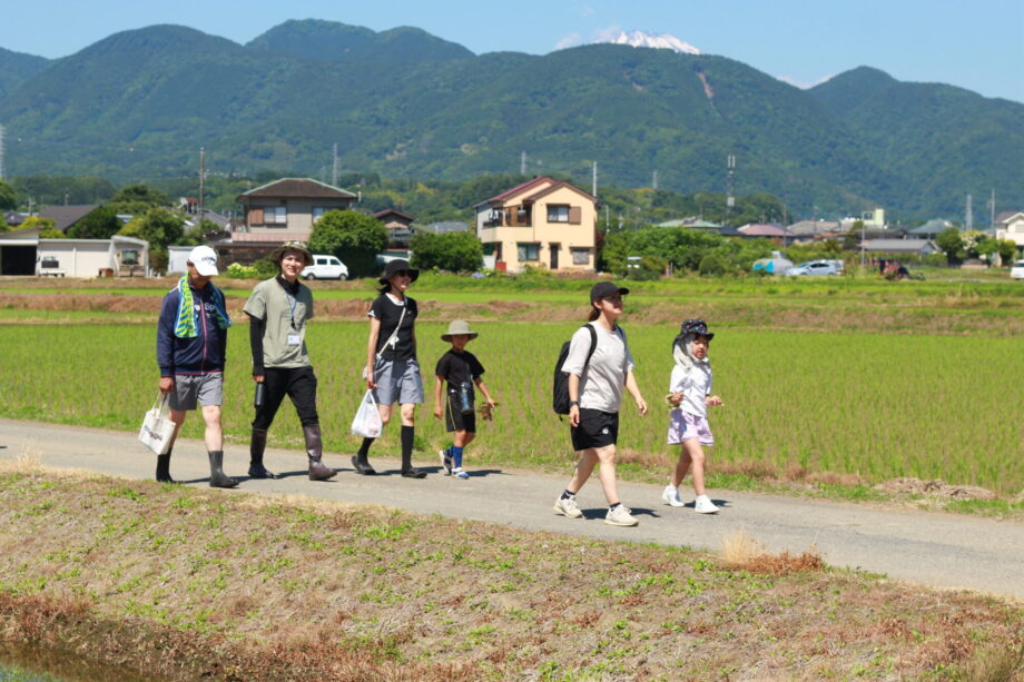 〈にしだが行くvol.1〉開成町の田んぼで「手植え」が教えてくれた感謝の心。お茶碗一杯の重みを知る編