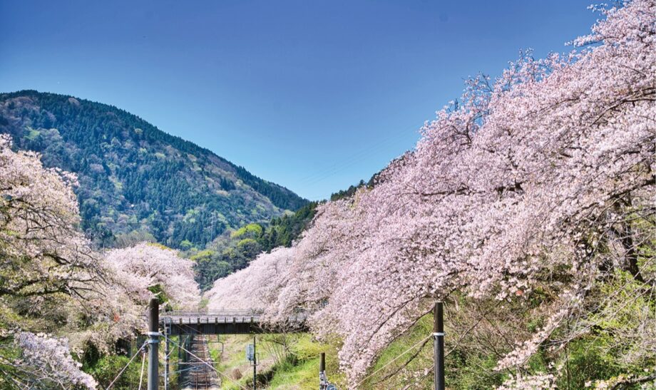 【６月２８日(日)申込受付中】山北町で「空き家見学ツアー」田舎暮らしの楽しさを体験してみませんか？