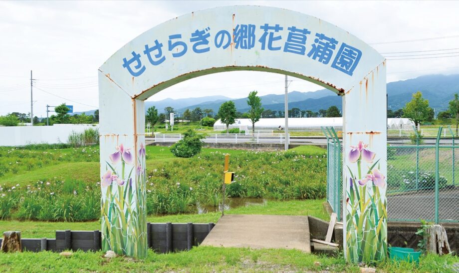 「せせらぎの郷花菖蒲園」が2026年6月末で閉園へ＠神奈川県大井町