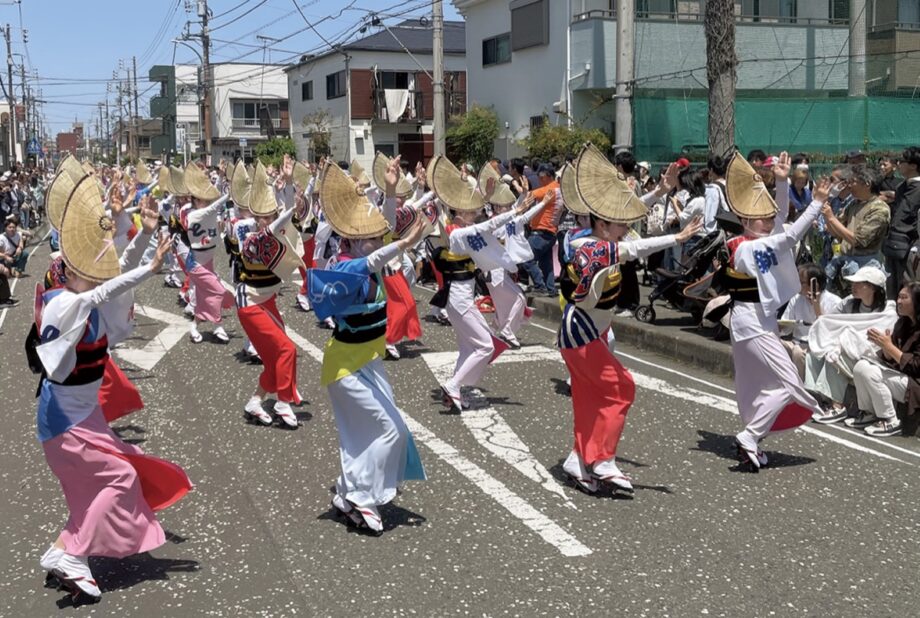大和市 阿波おどりが50回迎える 7月25日・26日に本大会