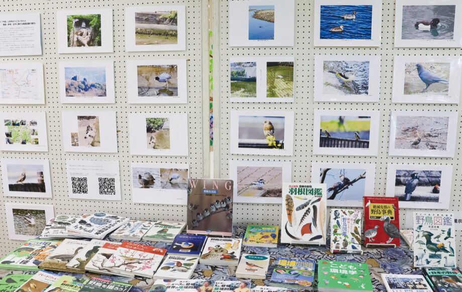 横須賀市立北図書館「鷹取川再生」たどる写真展・野鳥の図鑑や環境問題などの展示ー6/30まで