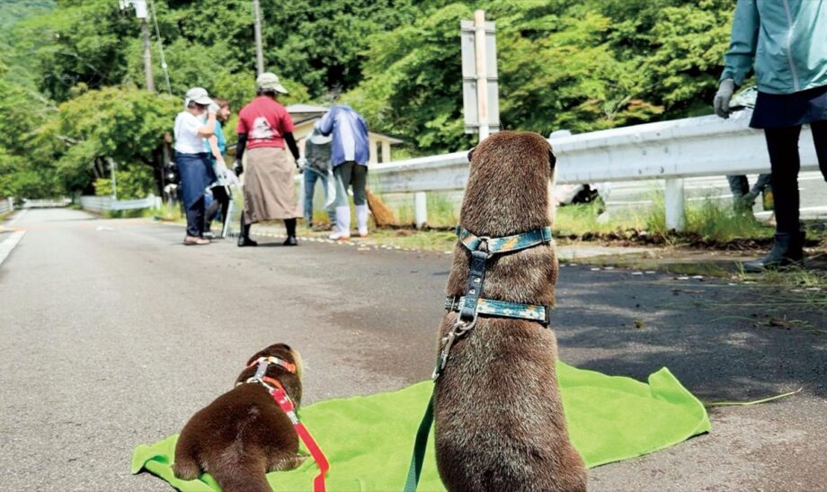 夏の観光シーズンを前に丹沢湖周辺を一斉清掃！観光大使のカワウソ「ういちゃん」も参加