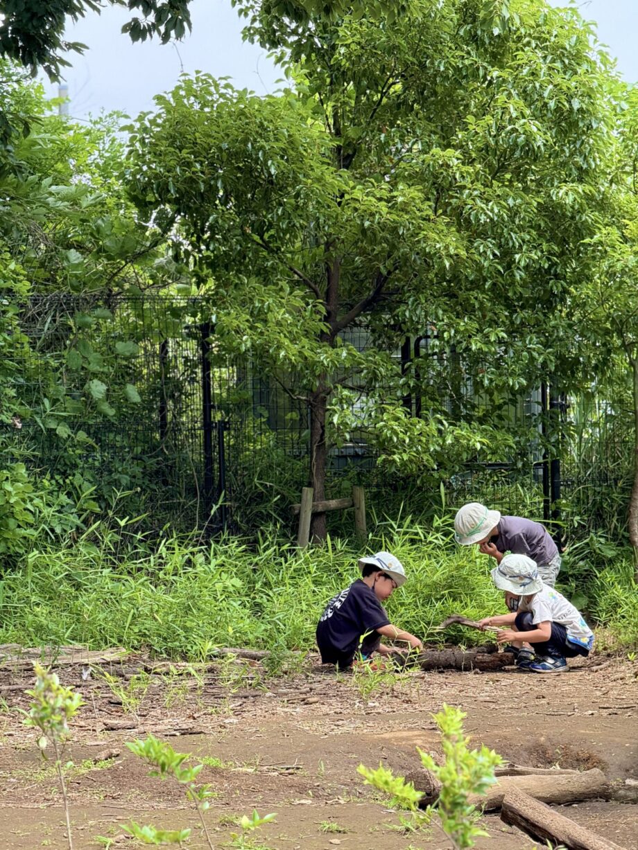 幼保連携型認定こども園町田自然幼稚園：広い自然の中で１歳からのいきいき保育（東京都町田市）