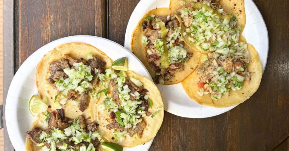 「Alma de México（アルマ デ メヒコ）」本場メキシコの味を本厚木で気軽に楽しむ【厚木市なかちょう大通り商店街】